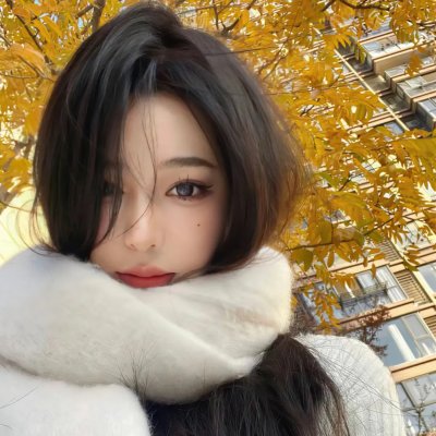 无毛犬奇遇记